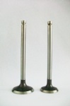 engine valve for all kinds of vehicle